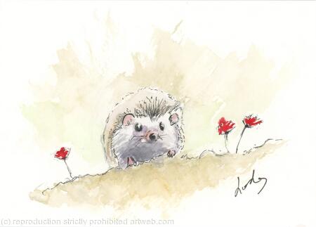 216 Hedgehog AVAILABLE 