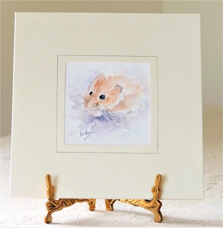 Bank Vole Miniature AVAILABLE 