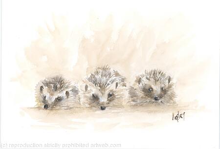 281  Three Hoglets SOLD  