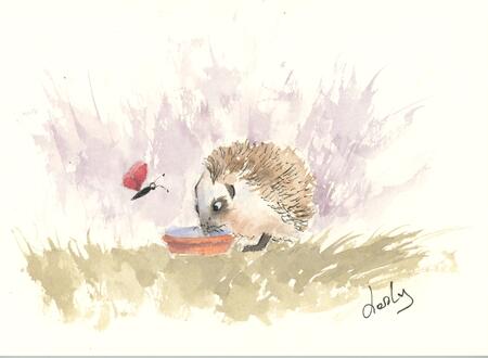 248 Thirsty hoglet AVAILABLE 