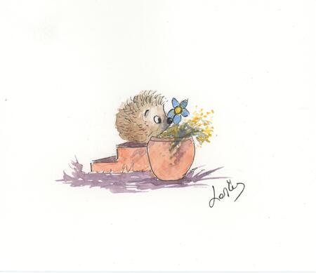 250 HETTi Hoglet AVAILABLE 