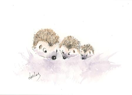 No 260 Three cuties AVAILABLE 