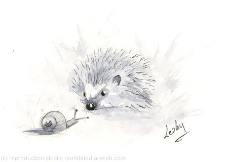 264 Hedgehog AVAILABLE 