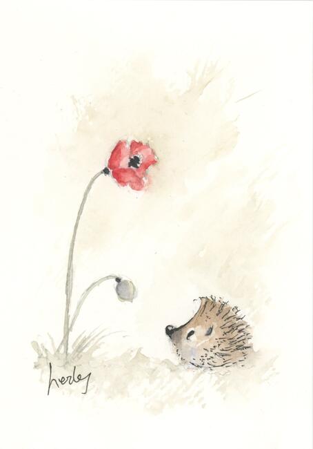 336 HETTi and Poppy AVAILABLE 