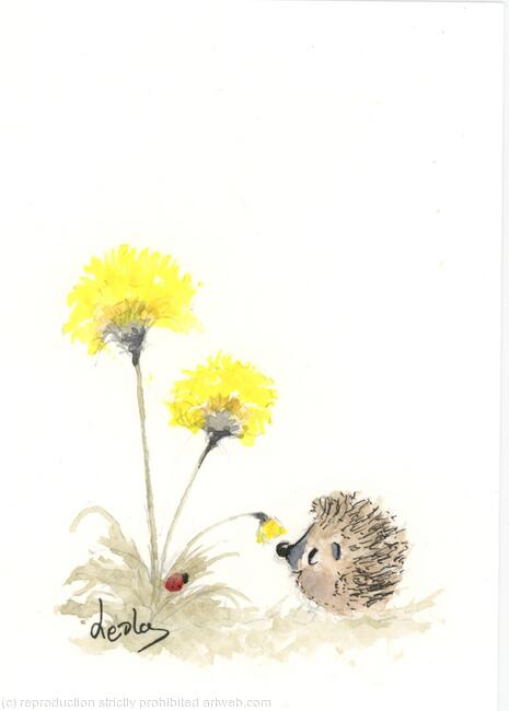 340 HETTi hoglet AVAILABLE 