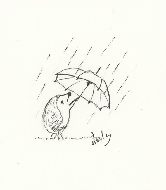 356 Hedgehog AVAILABLE 