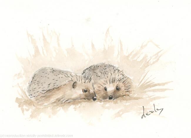 357 Hedgehogs SOLD 