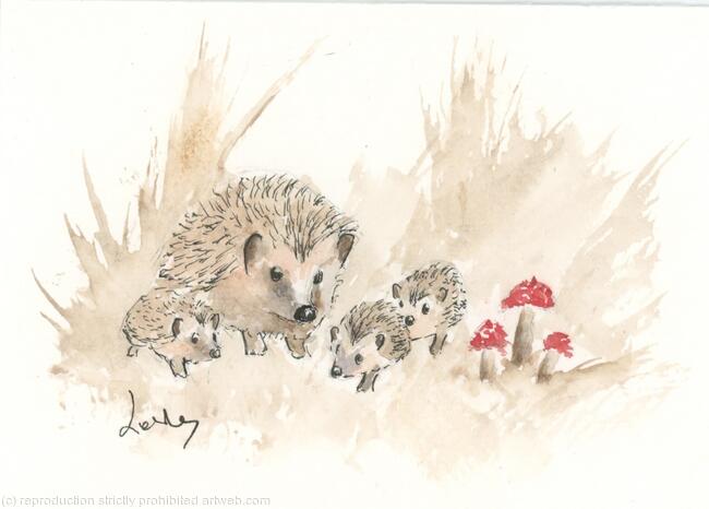 372 Hedgehogs AVAILABLE 