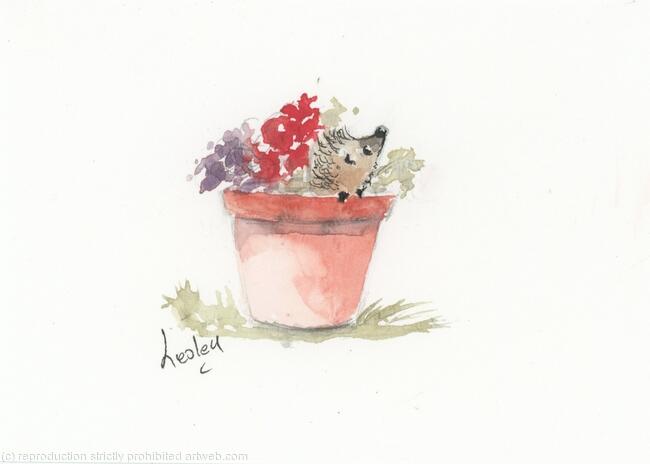 374 Hedgehog AVAILABLE 