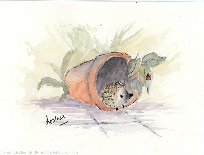 375 Hoglet AVAILABLE 