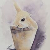 Bunny in a pot AVAILABLE 