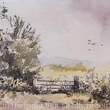 Risby Warren in Lincolnshire  Available 