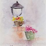 My Garden 3 not available 