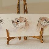 Otter bookmark Not Available  