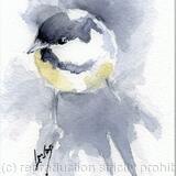 Coal Tit SOLD 
