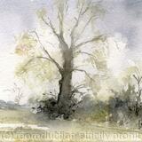  Alkborough Flats Available 