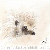 No 110 Herbie the hedgehog AVAILABLE 