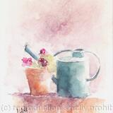 Garden not available 