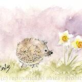 No 131 Spring Time Hoglet AVAILABLE 