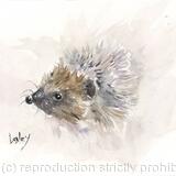 No 115 Hoglet AVAILABLE 