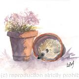 No 113 Hedgehog SOLD 