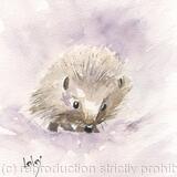No 114 Hedgehog AVAILABLE