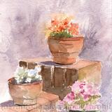 My Garden pots Available 