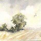 Lincolnshire Wolds SOLD 