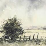 N. Lincolnshire looking across to Susworth village 