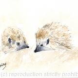 No 134 Mum and Hoglet SOLD 