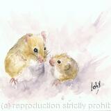 Harvest Mice AVAILABLE 