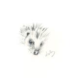 No 117 Hedgehog AVAILABLE 