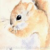 Cute Squirrel SOLD 