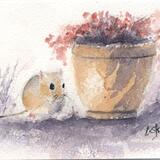 Monty mouse AVAILABLE 