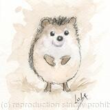 No 127 Hedgehog AVAILABLE 