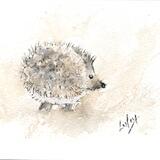 No 138 Hedgehog AVAILABLE  