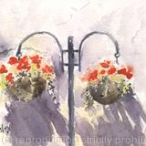 Flower baskets AVAILABLE 