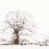 Lincolnshire Wolds AVAILABLE 