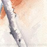 Kingfisher bookmark 2 AVAILABLE 