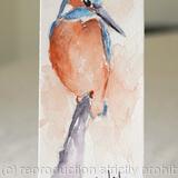Kingfisher No 3 SOLD 