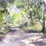 Risby Warren Lincolnshire No 4 AVAILABLE 