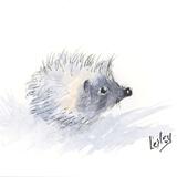 No 143 Hoglet AVAILABLE 