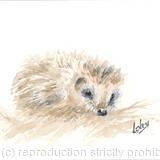 No 151 Hedgehog AVAILABLE 
