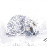 No 154 Hedgehog AVAILABLE 