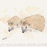 No 160 Mum and Youngster DONATED 