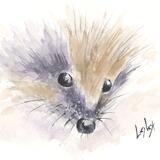No 159 Hedgehog AVAILABLE 