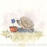 HETTi hoglet No 183 SOLD 