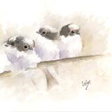 Long Tailed Tits AVAILABLE 