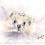 Hedgehog  No 186 AVAILABLE 
