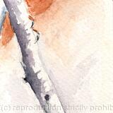 Kingfisher bookmark SOLD 